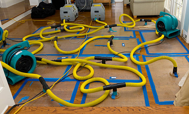 Professional Sewage Cleanup technician working in Fairmount, NY